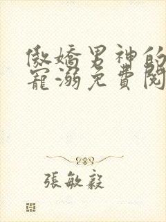傲娇男神的首席宠溺免费阅读全文