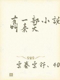 有一部小说主角叫秦天