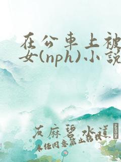 在公车上被c的女(nph)小说