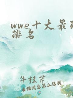 wwe十大最强排名
