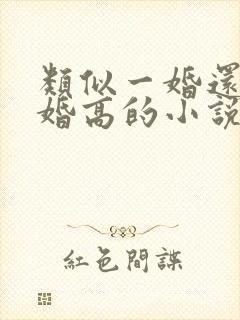 类似一婚还比一婚高的小说高干文