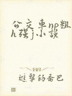 公交车np粗暴h强j小说