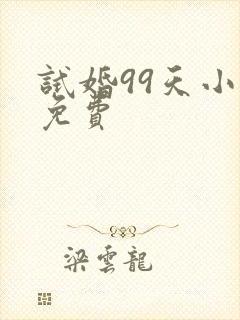 试婚99天小说免费
