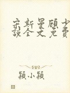 宋斯曼顾少霆小说全文免费阅读