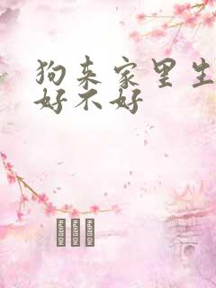狗来家里生小狗好不好