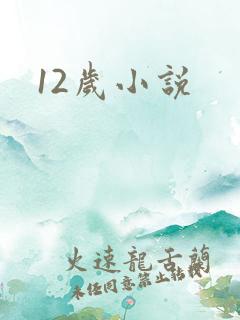 12岁小说