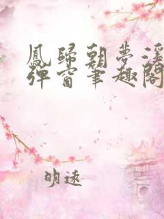 凤归朝梦溪石无弹窗笔趣阁
