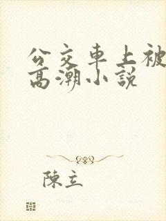公交车上被插到高潮小说