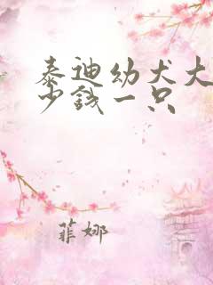 泰迪幼犬大概多少钱一只