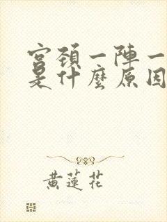 宫颈一阵一阵疼是什么原因
