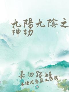 九阳九阴之阴阳神功