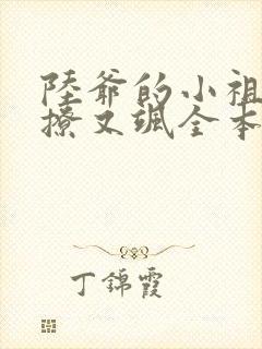陆爷的小祖宗又撩又飒全本免费阅读