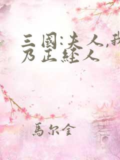 三国:夫人,我乃正经人