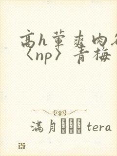 高h荤爽肉欲文〈np〉青梅
