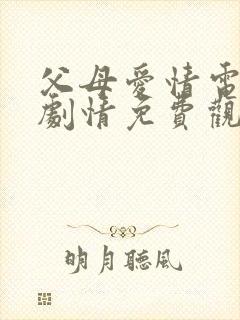 父母爱情电视剧剧情免费观看完整版高清