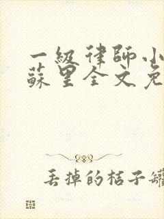 一级律师小说木苏里全文免费阅读
