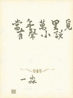当年万里觅封侯 有声小说