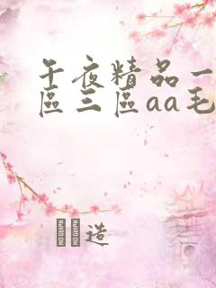 午夜精品一区二区三区aa毛片