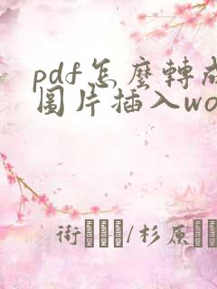 pdf怎么转成图片插入word