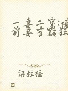 一妻二宝:亿万前妻有点狂