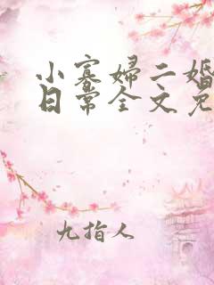 小寡妇二婚娇宠日常全文免费阅读