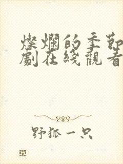 灿烂的季节电视剧在线观看免费完整版