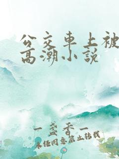 公交车上被插到高潮小说
