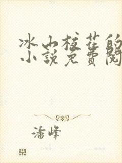 冰山校花的堕落小说免费阅读