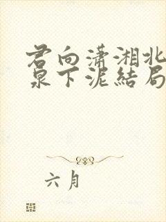 君向潇湘北我埋泉下泥结局