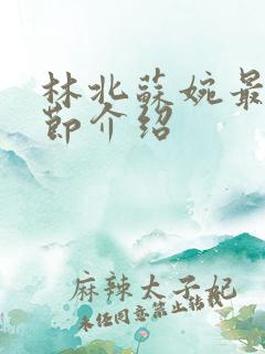 林北苏婉最新章节介绍