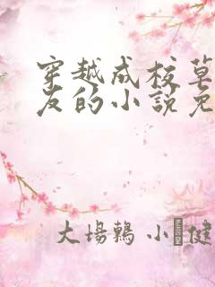 穿越成校草前男友的小说免费阅读