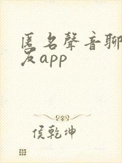 匿名声音聊天交友app