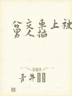 公交车上被陌生男人插