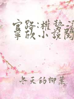 官路:权势滔天宁欣小说阅读