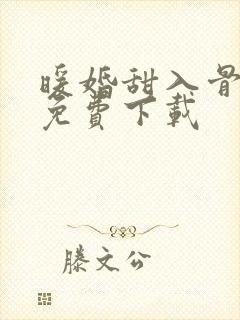 暖婚甜入骨全文免费下载
