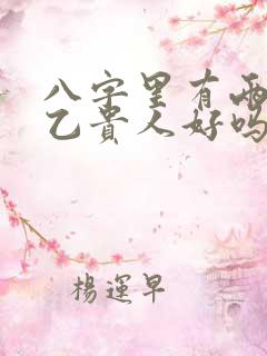 八字里有两个天乙贵人好吗