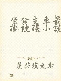 坐公交车最后一排被强小说
