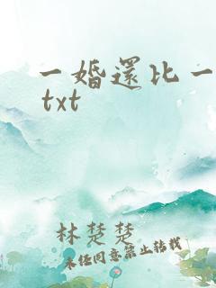 一婚还比一婚高 txt