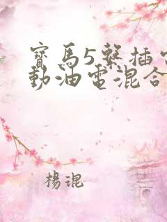 宝马5系插电混动油电混合怎么样