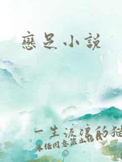 恋足小说
