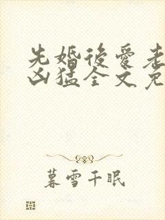 先婚后爱老公很凶猛全文免费阅读