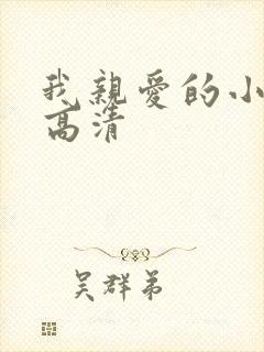 我亲爱的小冤家高清