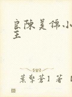 良陈美锦小说男主