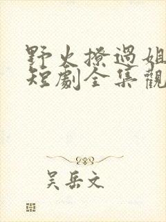 野火撩过姐姐心短剧全集观看
