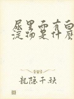 尿里面有白色沉淀物是什么原因