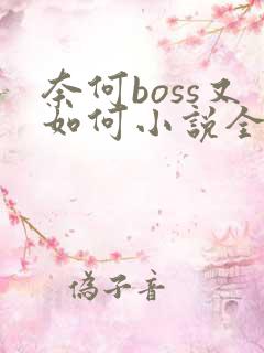 奈何boss又如何小说全文免费阅读