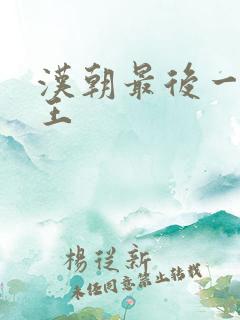 汉朝最后一个帝王