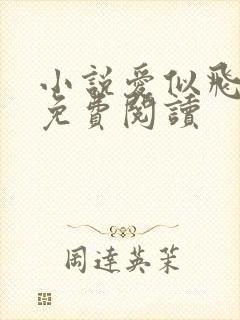 小说爱似飞花雨免费阅读