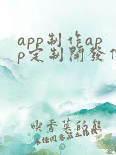 app制作app定制开发价格