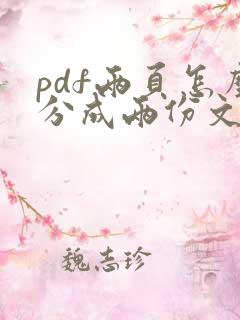 pdf两页怎么分成两份文件